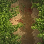 Les traces d'une irrigation du vignoble pratiquée dans le Languedoc Les traces d'une irrigation du vignoble pratiquée dans le Languedoc